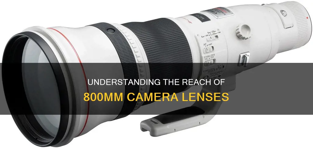 how far is 800mm for camera lenses