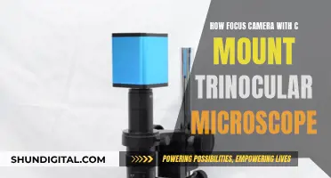 Focusing Camera with C-Mount Trinocular Microscope: Easy Guide