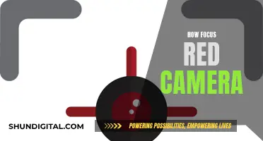 Mastering the Art of Focusing Your Red Camera