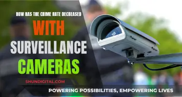 Surveillance Cameras: Crime Rate Reduction and Prevention