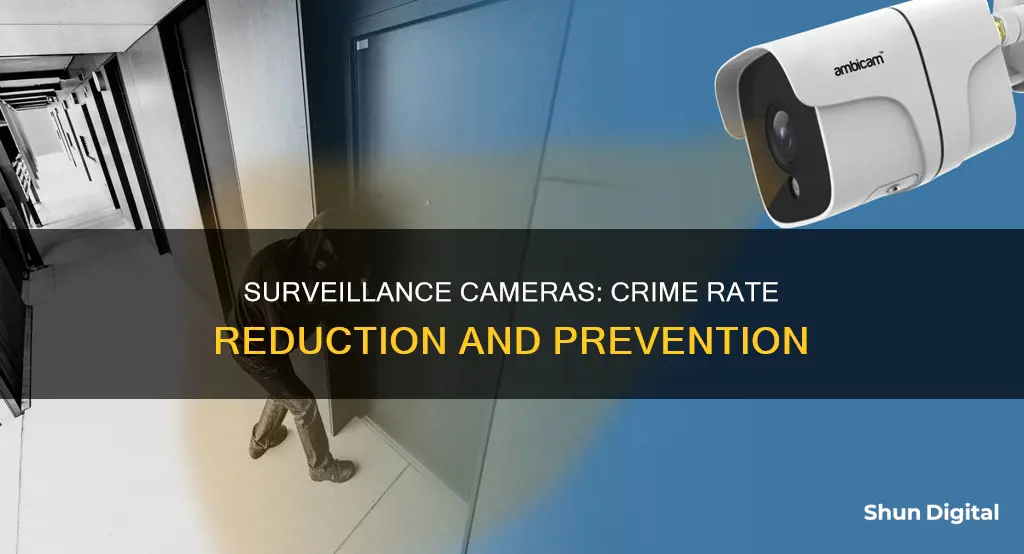 how has the crime rate decreased with surveillance cameras