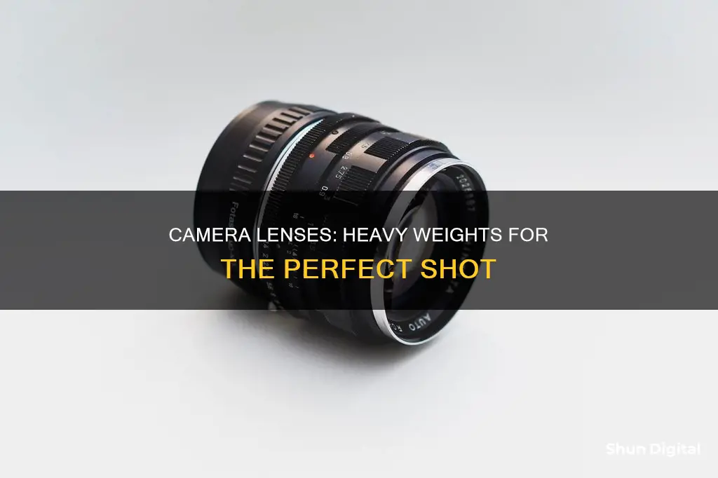 how heavy are camera lenses