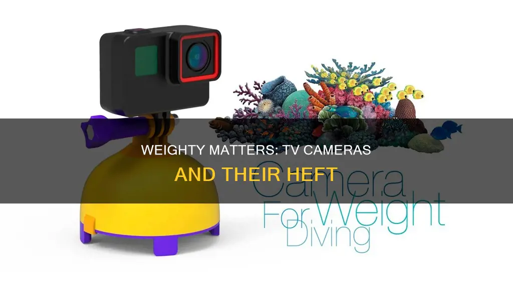 how heavy are tv cameras