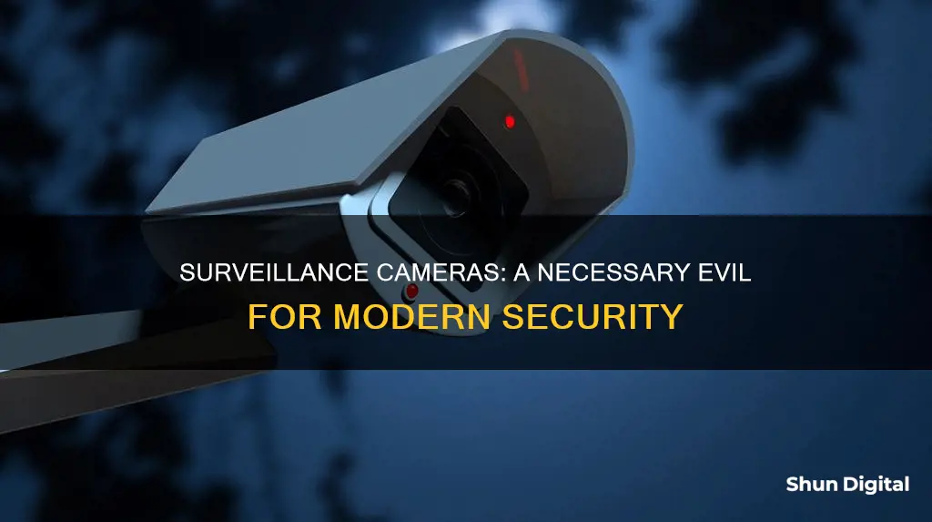 how important is surveillance camera