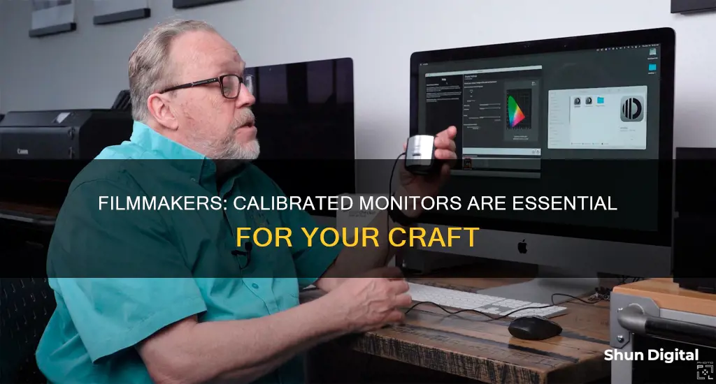 how important to buy calibrated monitor for begining filmmaker