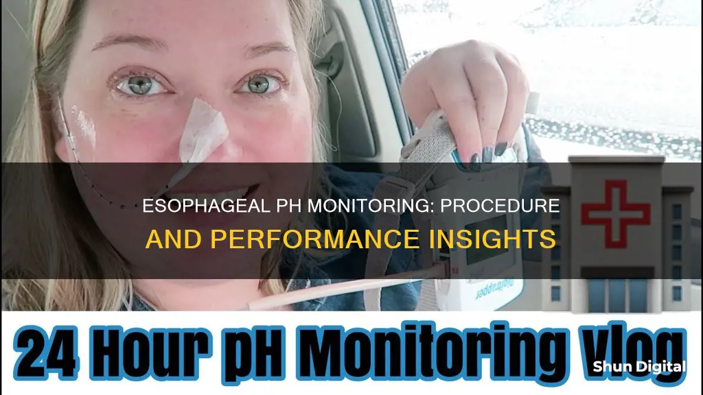 how is an esophageal ph monitoring performed