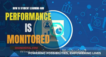 Monitoring Student Learning and Performance: Effective Strategies