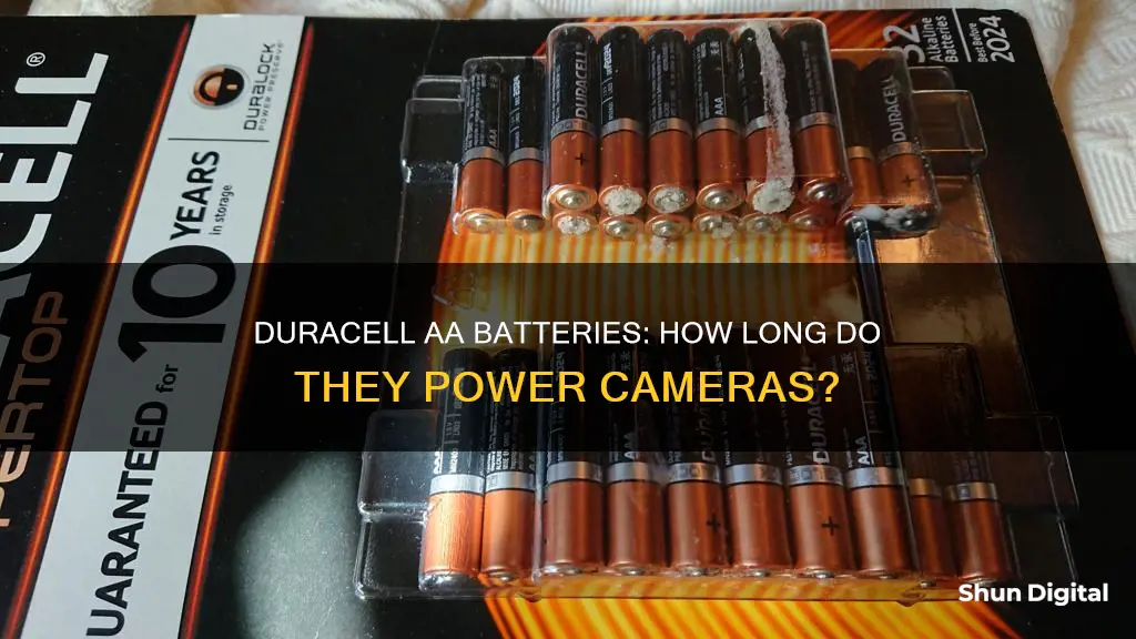 how long do aa duracell batteries last in a camera