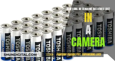 Alkaline Batteries: How Long Will Your Camera Run?