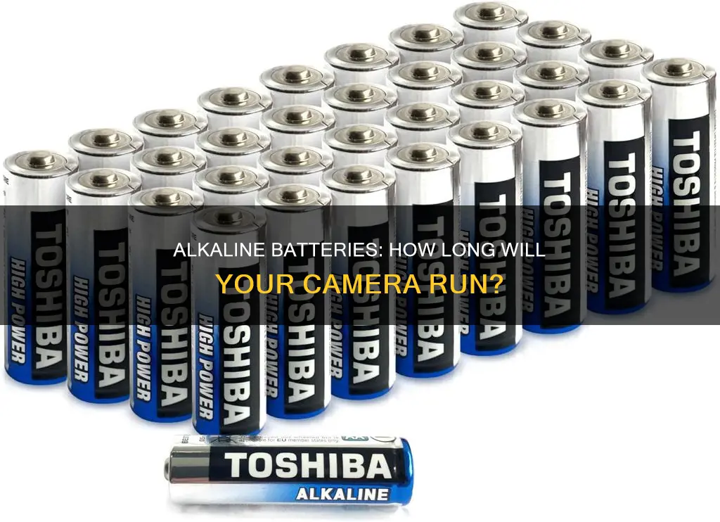 how long do alkaline batteries last in a camera