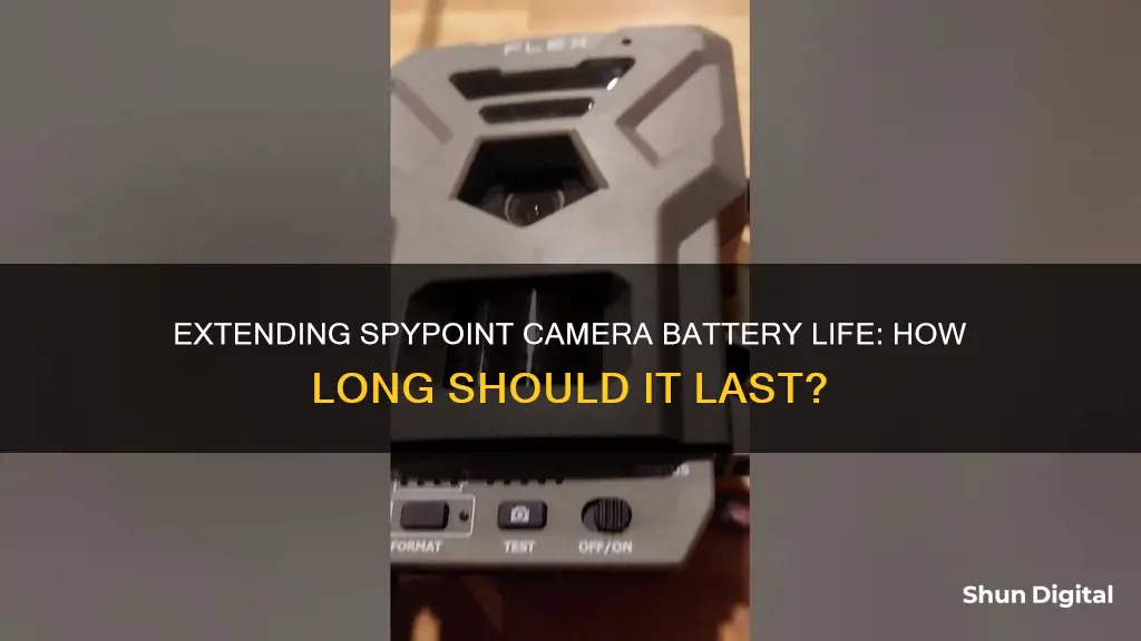 how long do batteries last in a spypoint camera