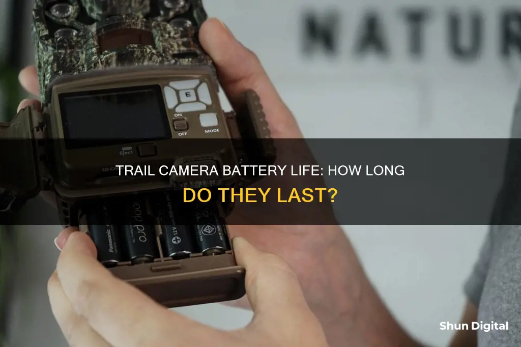 how long do batteries last in a trail camera