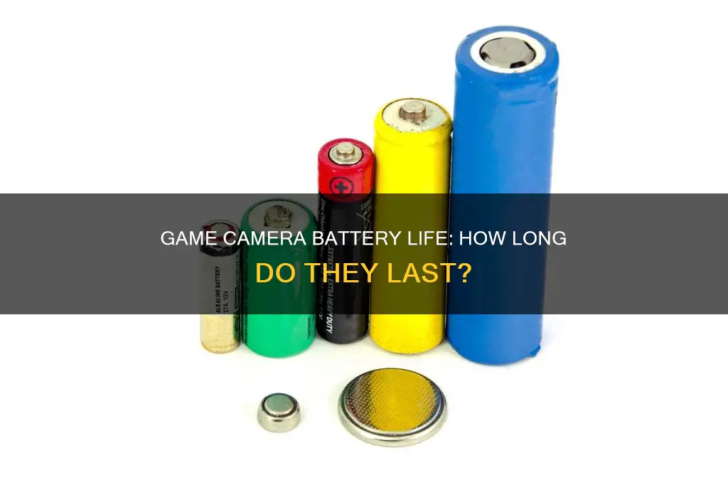 how long do batteries last in game camera