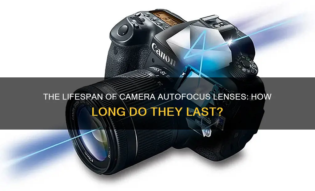 how long do camera autofocus lenses last