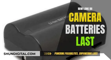 Camera Batteries: How Long Do They Really Last?