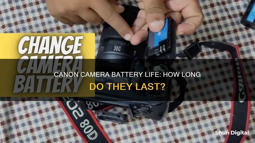 how long do cannon camera batteries last