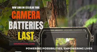 Cellular Trail Cameras: How Long Do Batteries Really Last?