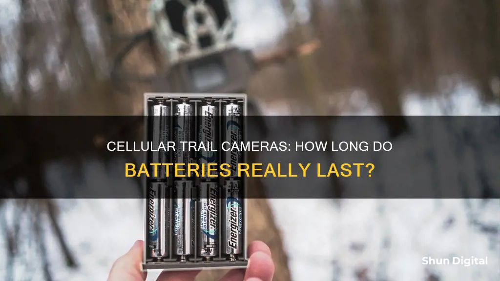 how long do cellular trail camera batteries last