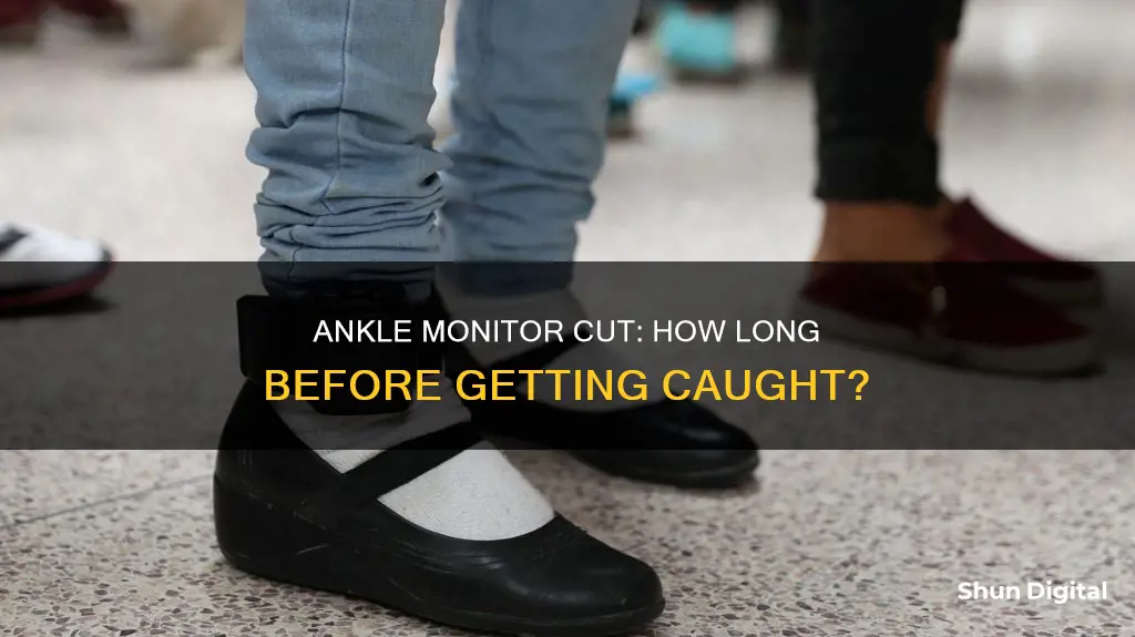 how long do you have after cutting gps ankle monitor