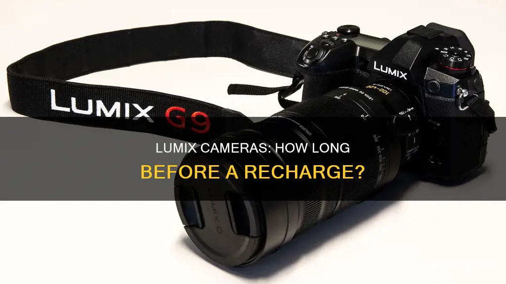 how long does a lumix camera battery last