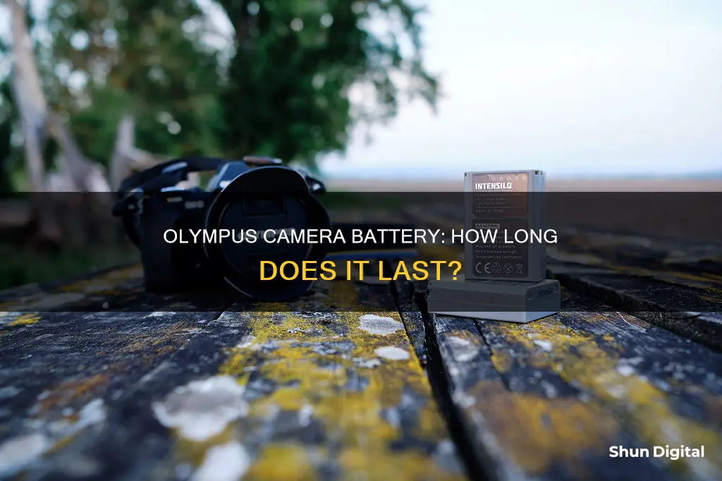 how long does an olympus camera battery last