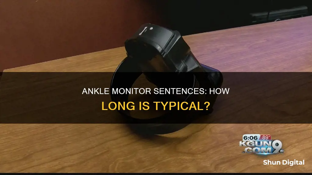 how long is a typical ankle monitor sentence