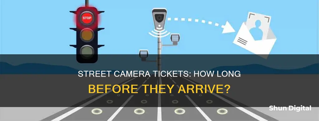 how long street camera ticket sent home