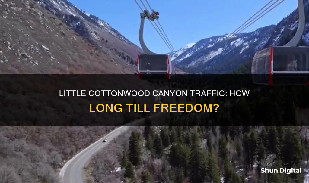 how long till little cottonwood canyon traffic camera