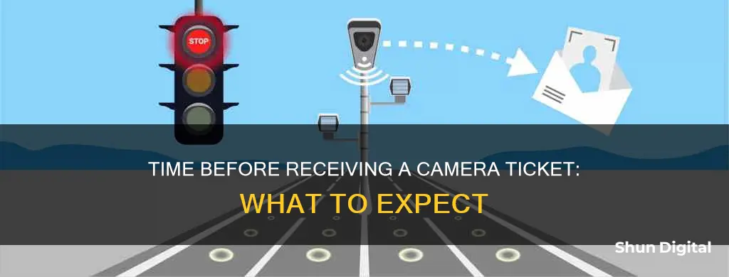 how long to receive camera ticket