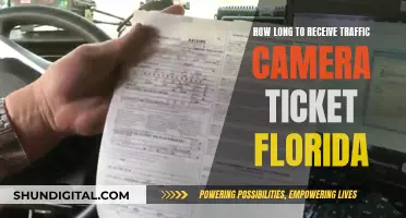 Traffic Camera Tickets: How Long Until They Arrive in Florida?