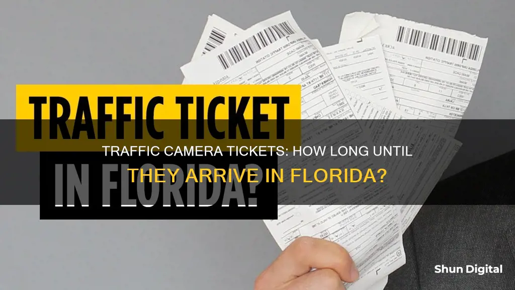 how long to receive traffic camera ticket florida