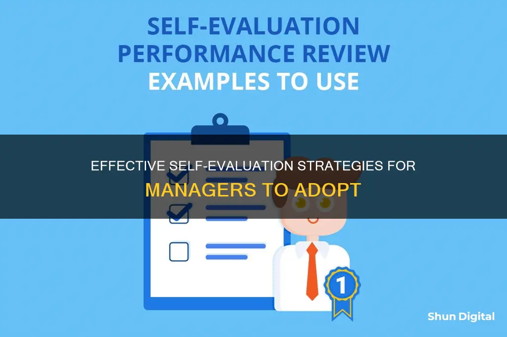 how manager evaluate and monitor their own performance