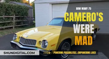 The Evolution of the 75' Camaro: A Rare Breed