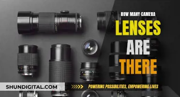 The Ultimate Guide to Understanding Camera Lenses Variety