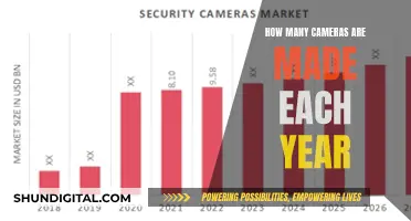 A Global Snapshot: Annual Camera Production Numbers