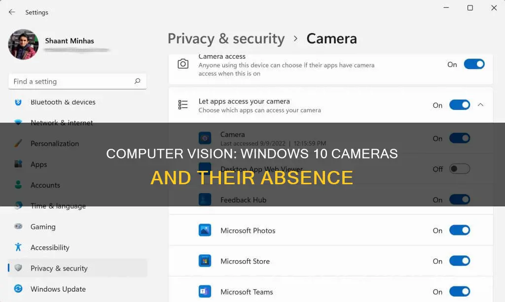 how many cameras has no computer windows 10