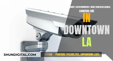 Surveillance in LA: How Many Cameras Watch Downtown?