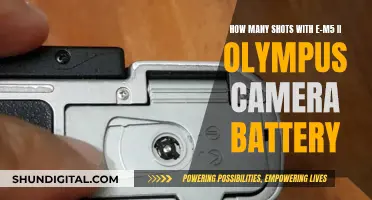 Olympus E-M5 II: How Many Shots Per Battery Charge?