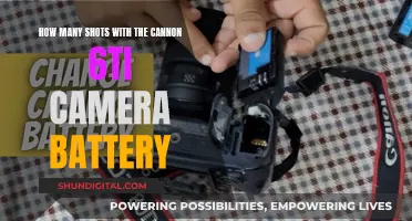 Capturing Moments: 6Ti Cannon Battery Shots