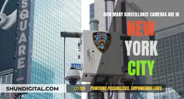 Surveillance in NYC: A City Under Watchful Eye