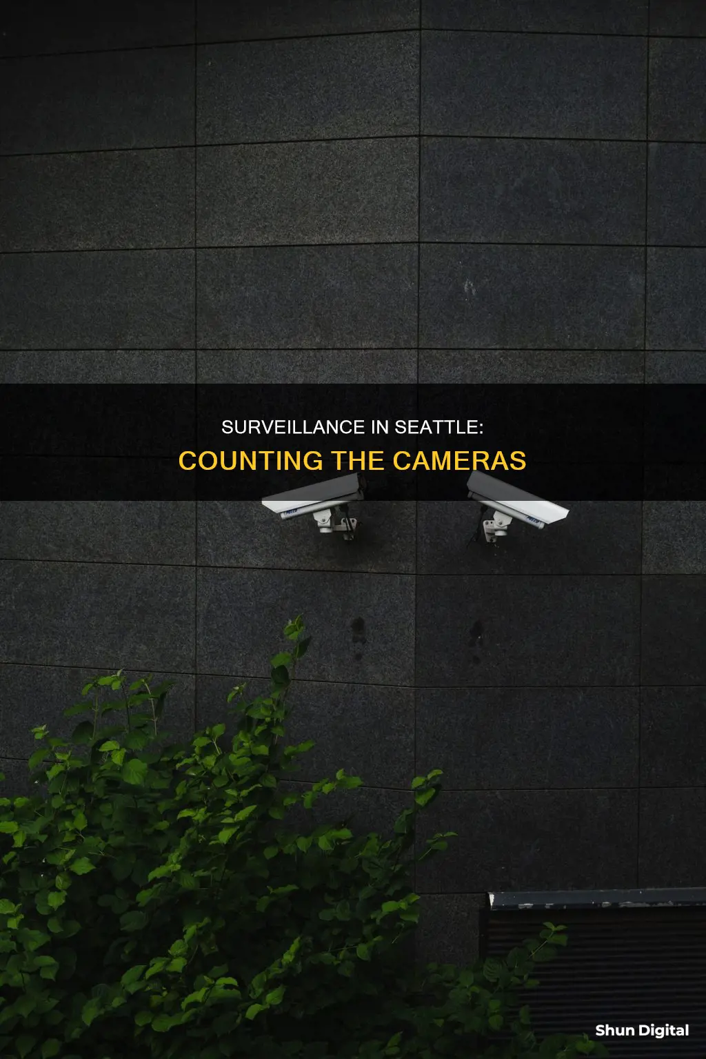 how many surveillance cameras are in Seattle