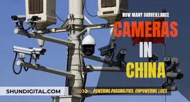 The Surveillance State: China's Extensive Camera Network