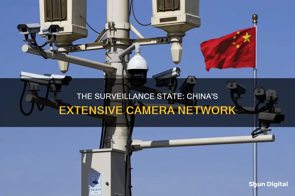 how many surveillance cameras in china