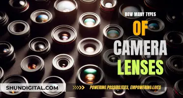 Exploring the Diverse World of Camera Lenses