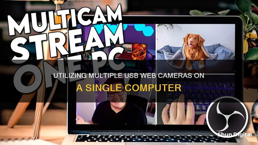 how many usb web cameras on one computer