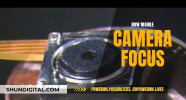 Mobile Camera Focus: Unlocking the Magic Behind the Lens