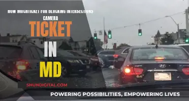 Blocking Intersections: MD's Camera Ticket Price