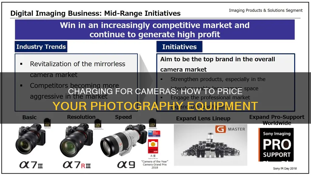 how muh money should I charge for cameras