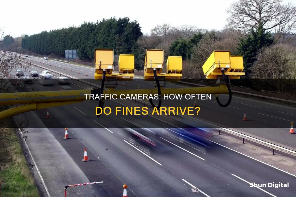 how often do traffic cameras bill you