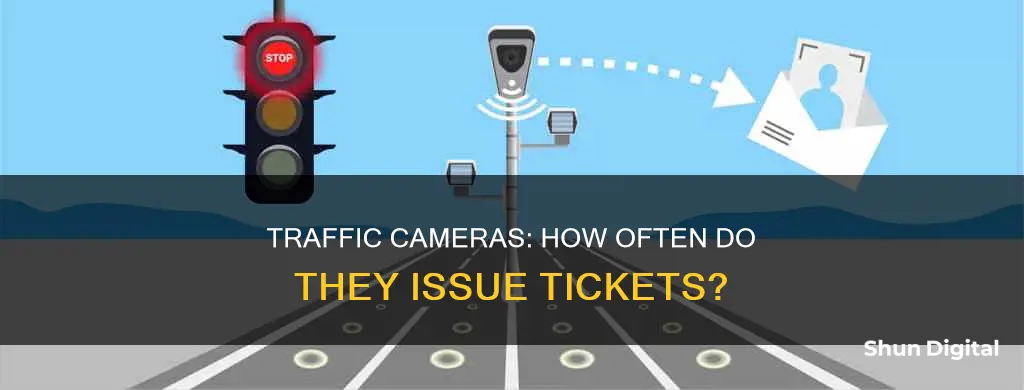 how often do traffic cameras give tickets